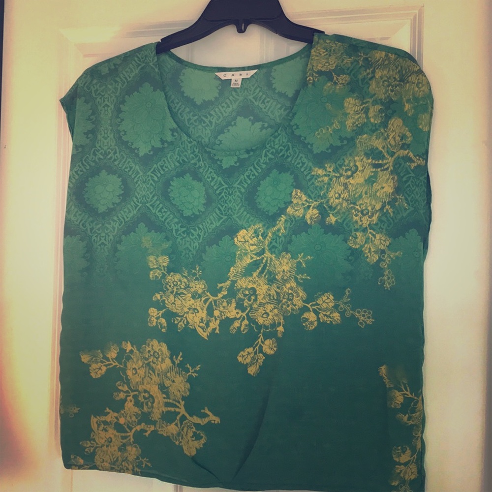 CAbi crop sleeve  emerald top